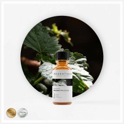 Olejek zapachowy rajska paczula 10ml, 1szt.