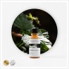 Olejek zapachowy RAJSKA PACZULA 10ml, 1szt.