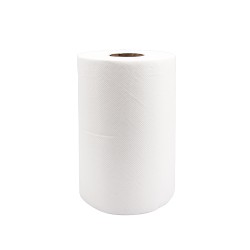 Ręcznik papierowy w roli 2W MINI PLUS (18cmx50m), 1rol.