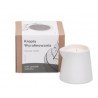 Świeca do masażu w kartonie (kropla wyrafinowania-cedr, goździk, werbena), 250g